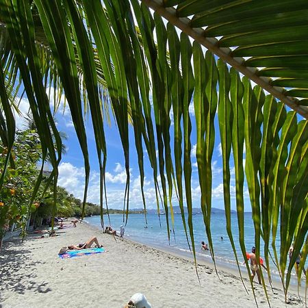 Bungalow Palbea Superieur Avec Spa Et Vue Mer Schoelcher Eksteriør bilde