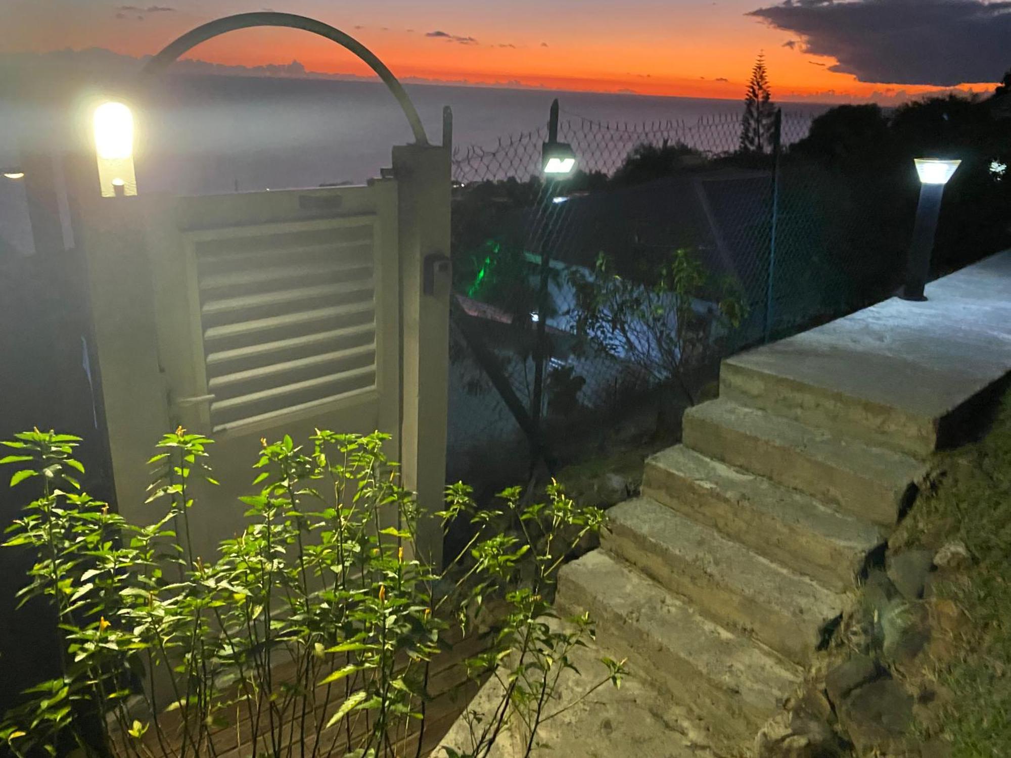 Bungalow Palbea Superieur Avec Spa Et Vue Mer Schoelcher Eksteriør bilde
